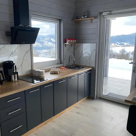 Holiday home Gora Vitriv *